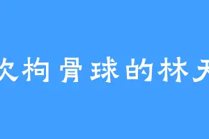 喜欢枸骨球的林天恩