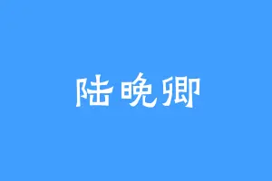 陆晚卿