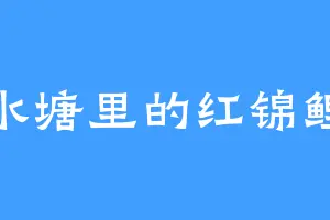 水塘里的红锦鲤