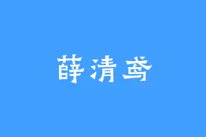 薛清鸢