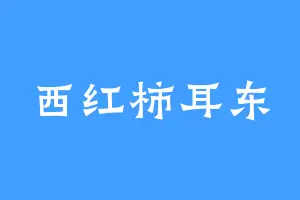 西红柿耳东