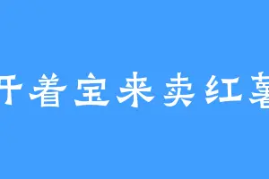 开着宝来卖红薯