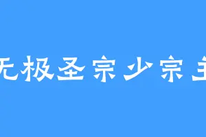 无极圣宗少宗主