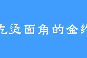 爱吃烫面角的金约柜
