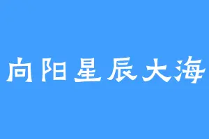 向阳星辰大海
