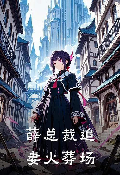 薛总裁追妻火葬场