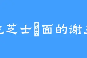 爱吃芝士焗面的谢主公