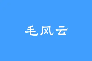 毛风云