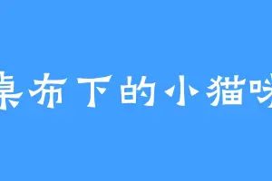 桌布下的小猫咪