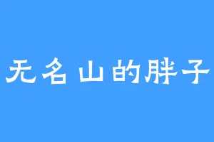 无名山的胖子