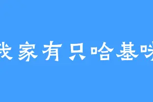 我家有只哈基咪