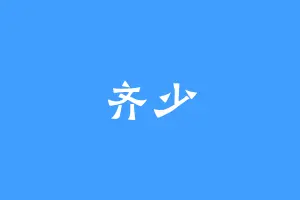 齐少