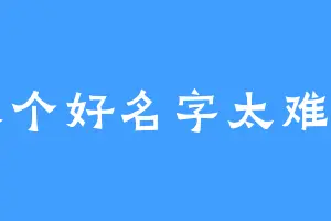 取个好名字太难了