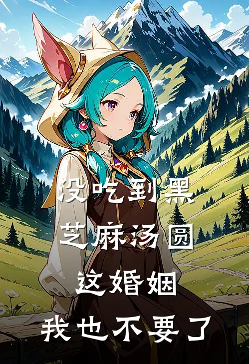 没吃到黑芝麻汤圆，这婚姻，我也不要了楚海宁楚辰全文免费阅读无弹窗大结局_楚海宁楚辰（没吃到黑芝麻汤圆，这婚姻，我也不要了）小说免费阅读大结局