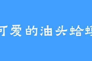 可爱的油头蛤蟆