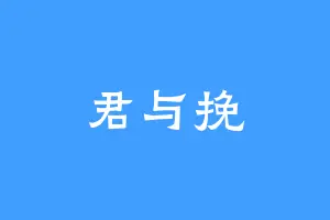 君与挽