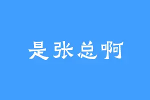 是张总啊