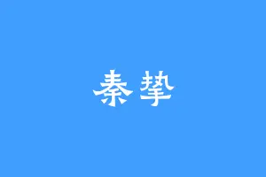 秦挚