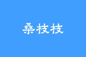 桑枝枝