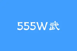555W武