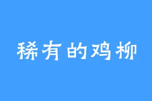 稀有的鸡柳