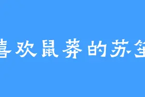 喜欢鼠莽的苏笙