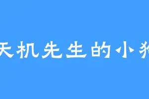 天机先生的小狗