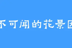 低不可闻的花景因梦