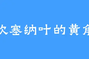 喜欢塞纳叶的黄角兰