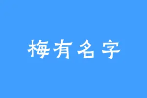 梅有名字