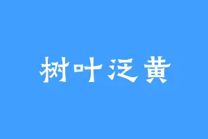 树叶泛黄