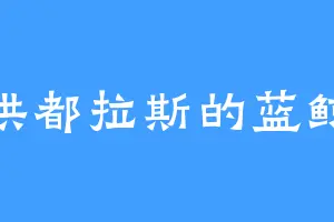 洪都拉斯的蓝鲸