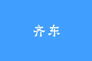 齐东