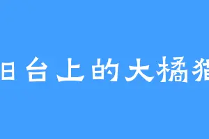 阳台上的大橘猫