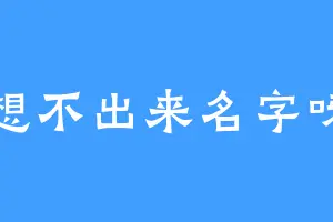 想不出来名字呀