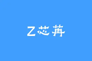 Z芯苒