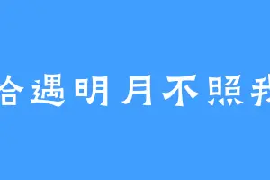 恰遇明月不照我