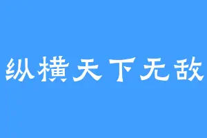 纵横天下无敌