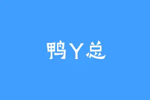 鸭Y总