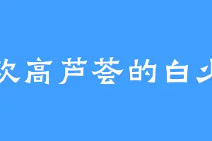喜欢高芦荟的白少宇