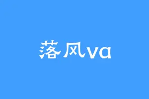 落风va