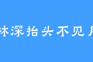 林深抬头不见月