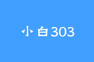 小白303