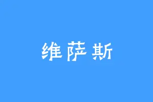 维萨斯