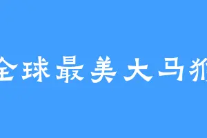 全球最美大马猴