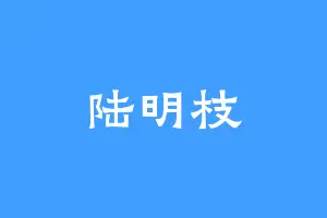 陆明枝