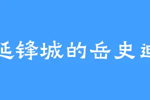 延锋城的岳史迪