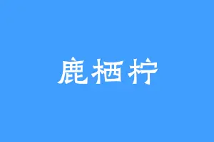鹿栖柠