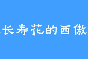 喜欢长寿花的西傲老祖