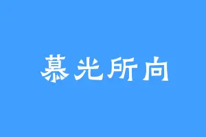 慕光所向